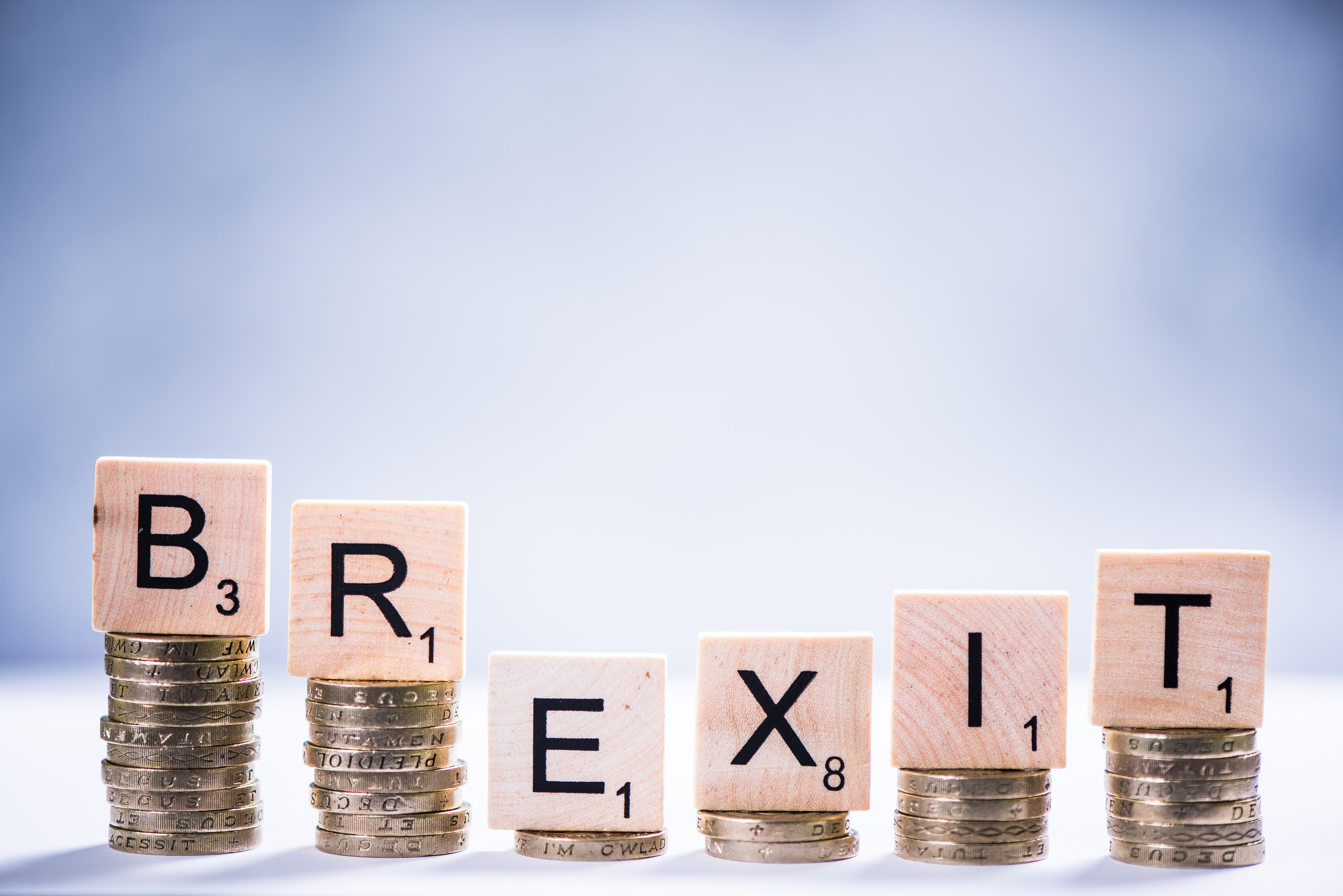 Brexit Bulletin – February 2019